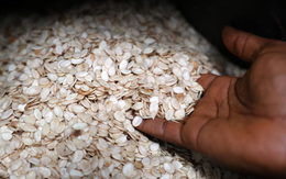 Hạt giống châu Phi bay vào vũ trụ, thử nghiệm trồng trên Mặt trăng và sao Hỏa