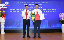 Ra mắt Điện lực Gia Định và 8 công ty điện lực mới sau sáp nhập