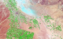 Google ra mắt mô hình AI lập bản đồ Trái đất 'mọi nơi, mọi lúc'