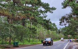 Măng Đen cảnh báo tình trạng lấn chiếm đất công, siết chặt quản lý để phát triển du lịch bền vững