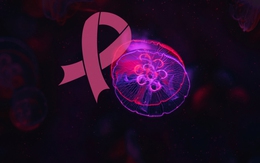 Cuộc chiến chống ung thư toàn cầu: Đã thấy ánh sáng cuối đường hầm