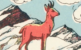 Thử tài tinh mắt: Người thợ săn ở đâu?