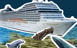 Sự thật về video quay cảnh du thuyền sang trọng xả thải xuống biển