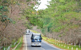 Măng Đen 'cháy phòng' dịp lễ Quốc khánh 2-9