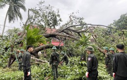 Dọn cây đổ sau bão ở Khu di tích Kim Liên đón người dân dịp Quốc khánh