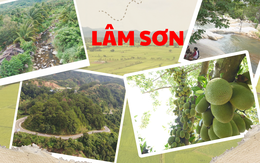 Lâm Sơn - Bản giao hoà giữa trái ngọt và tình người