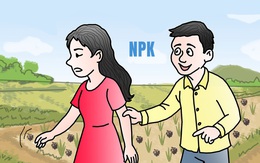 Tình ta tan nhanh hơn cả phân NPK