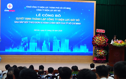 EVNHCMC ra mắt 9 công ty điện lực mới