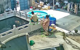 Trưa nắng không ngủ, chồng ngồi cho cá koi ăn bị vợ đạp ngã xuống hồ