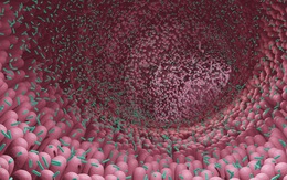 Phát hiện thực thể bí ẩn trong miệng và ruột người