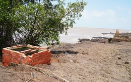 Nhiều người ở Cà Mau từng có hàng héc ta đất nay tay trắng, cần kè biển khẩn cấp