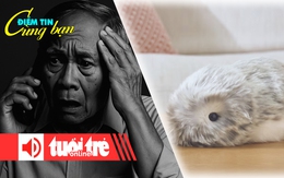 Điểm tin 8h: Cảnh báo lừa 'ăn theo' sáp nhập hành chính; Robot thú cưng AI biết 'nịnh' chủ gây sốt