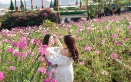 Vụ ly cà phê 110.000 đồng ở Đà Lạt: Menu báo giá rõ, sao còn than vãn bị 'chặt chém'?