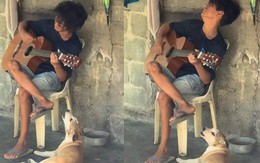 Chú chó 'hát' cực ngầu khi nghe cậu chủ đánh đàn guitar