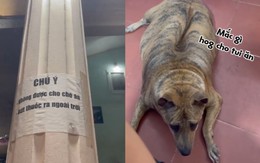 Cô gái hoang mang với bảng chú ý trong quán ăn