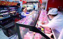 Cấp tốc ngăn dịch tả heo châu Phi