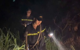 Đưa flycam, chó nghiệp vụ tìm kiếm thanh niên mất tích khi leo núi ở Nha Trang