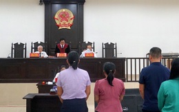 Vụ cựu giám đốc Cảng vụ Quảng Nam lập khống hồ sơ: Trả hồ sơ điều tra bổ sung