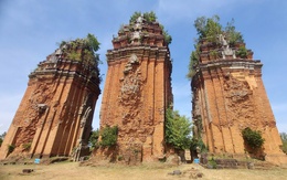 Nghiên cứu khai quật khảo cổ cụm tháp Chăm Dương Long