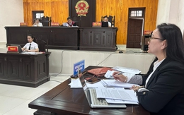 Doanh nghiệp kiện UBND tỉnh ra tòa vì bị thu hồi 'đất vàng' đã giao cho làm dự án