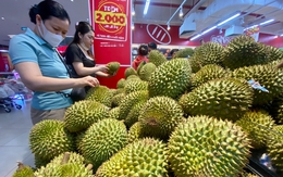 Sầu riêng xuất khẩu sang Trung Quốc bị trả về sẽ phải kiểm tra chất vàng O