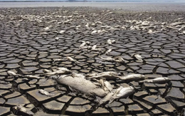 Nhiệt độ Trái đất sắp chạm ngưỡng không thể quay đầu