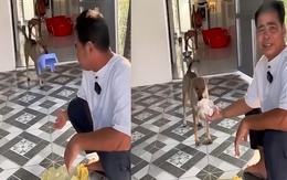 Chú chó biết làm đủ việc khi ông chủ sai bảo