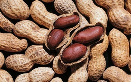 Bạn có biết những món ăn tốt cho sức khỏe tim mạch?