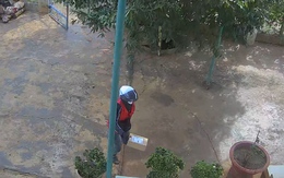 Shipper khổ nhất thế giới, chậm chân tý nữa là ăn 3 mũi 900.000 đồng