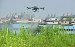 Trung Quốc, Singapore cấp tập chống vi rút chikungunya