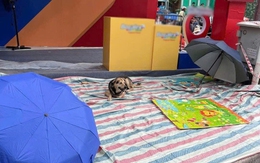 Ảnh vui 1-9: Phát hiện một đối tượng căng bạt, che dù xí chỗ