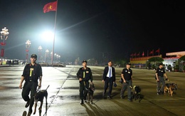 Xem cảnh sát sử dụng chó nghiệp vụ kiểm tra vật liệu nổ, bảo vệ an ninh trật tự A80