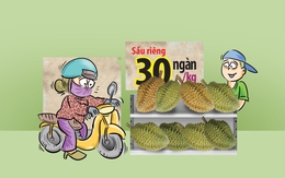 Sự thật sầu riêng 30 ngàn/ký