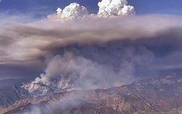 Cháy rừng đe dọa quần thể cây cổ thụ 2.000 năm tuổi ở Mỹ