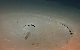 Phát hiện ‘thành phố ngầm’ dưới Thái Bình Dương, lịch sử Trái đất phải viết lại?