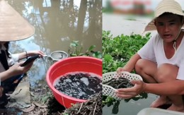 Độc lạ tháng 7: Phóng sinh online - ‘phước’ ship về tận nhà?