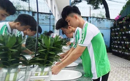 Năm học mới, trường học ở TP.HCM không được thu phí dịch vụ vệ sinh