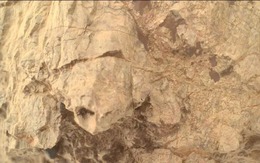 NASA phát hiện 'rùa' trên sao Hỏa