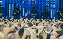 Thực hư bức ảnh 'người Hàn bị bắt ở Mỹ' lan truyền trên mạng xã hội