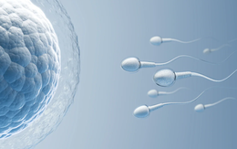 'Tinh trùng robot' sẽ được dùng để điều trị vô sinh trong tương lai?