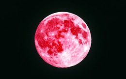 Trăng màu mận chín