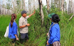 Vườn quốc gia Tràm Chim hồi sinh rực rỡ giữa mùa nước nổi