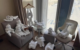 Ảnh vui 11-9: Khách hàng may mắn và anh nhân viên sáng tạo