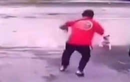 Bí kíp né đòn khi bị chó rượt