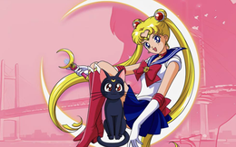 Fan Thủy thủ mặt trăng lập kỷ lục đặt tên 'Luna' cho mèo cưng