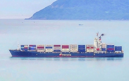 Đà Nẵng đặt chỉ tiêu đến năm 2030 kinh tế tư nhân đóng góp khoảng 60-62% GRDP