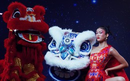 Top 8 Vietnam's Next Top Model chụp hình trên cột mai hoa thung cao, Ái Băng xin rút