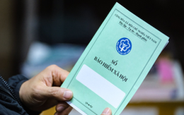 Làm giám đốc Công ty TNHH nhưng không hưởng lương, có phải đóng bảo hiểm xã hội không?