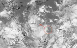 Cuối tháng 9, Biển Đông khả năng đón 1-2 cơn bão mạnh, có thể đổ bộ vào nước ta