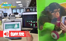 Điểm tin 8h: Chứng khoán tăng mạnh; Vườn thú cấm du khách cho tinh tinh xem điện thoại